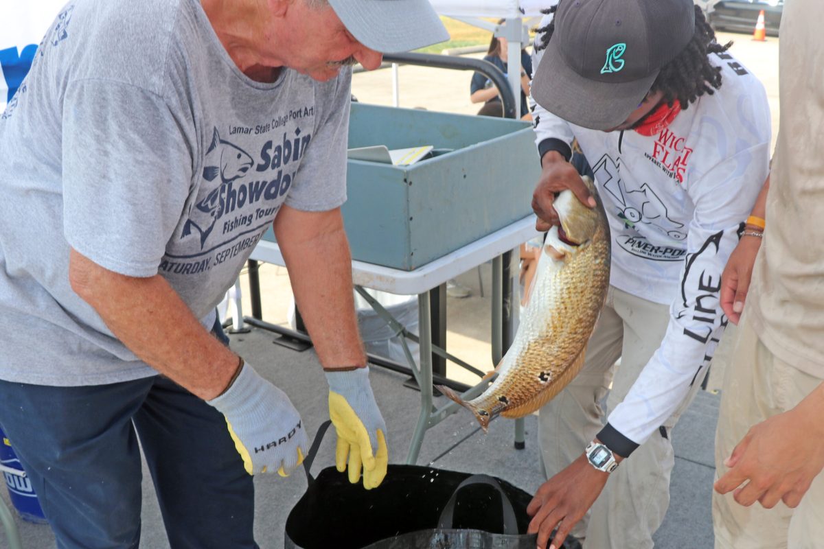 FISH28