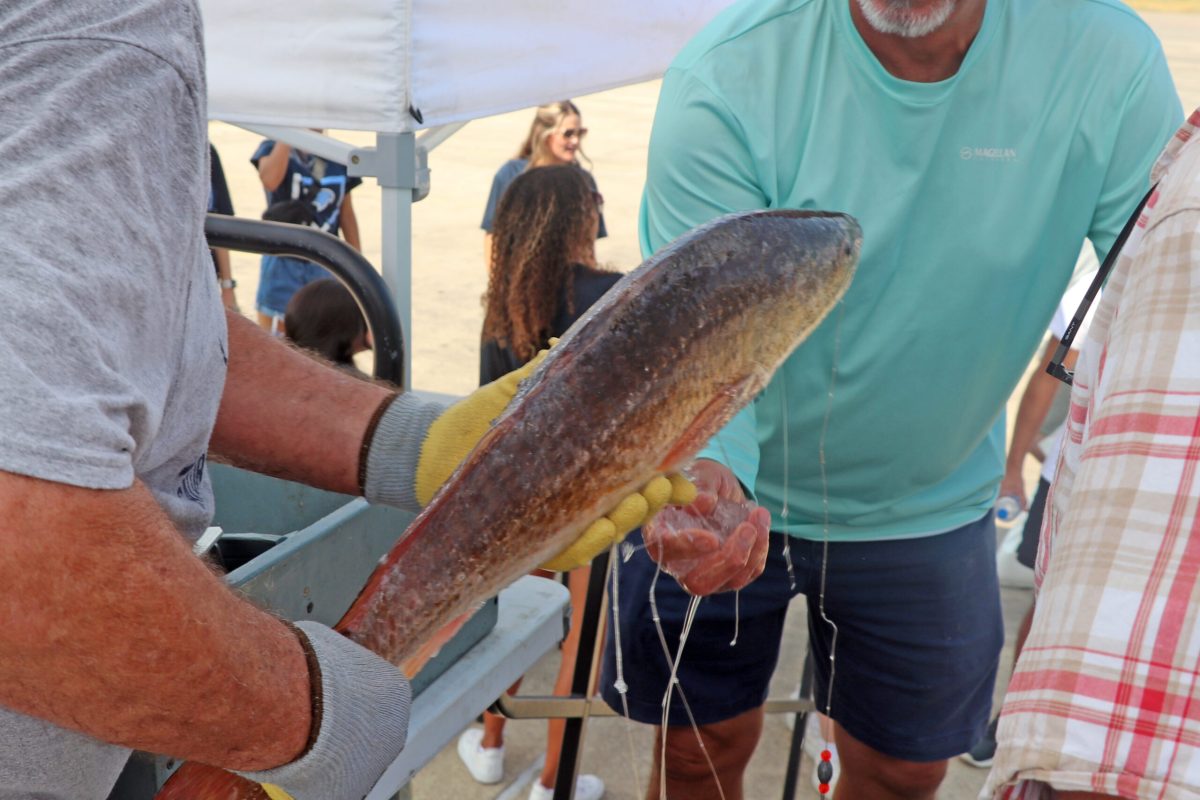 FISH3