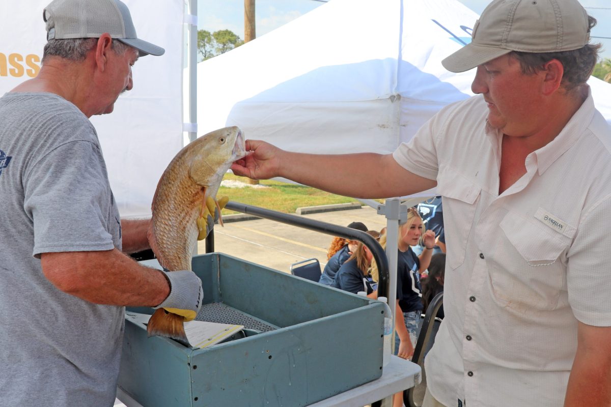 FISH5